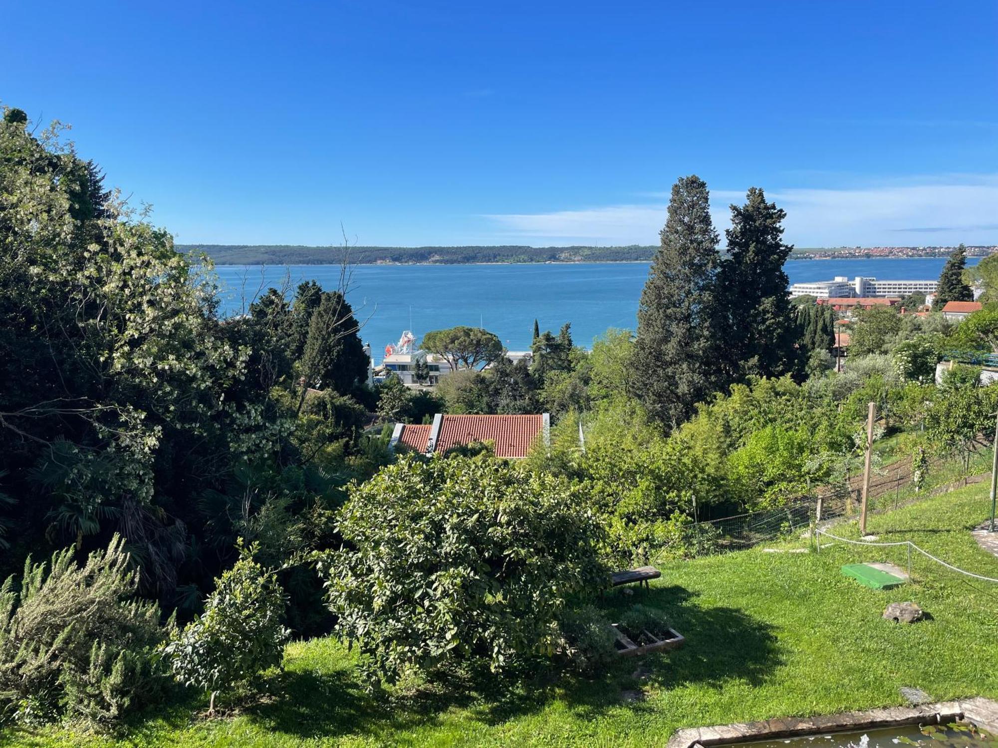 Apartment Iris Portoroz Exterior photo